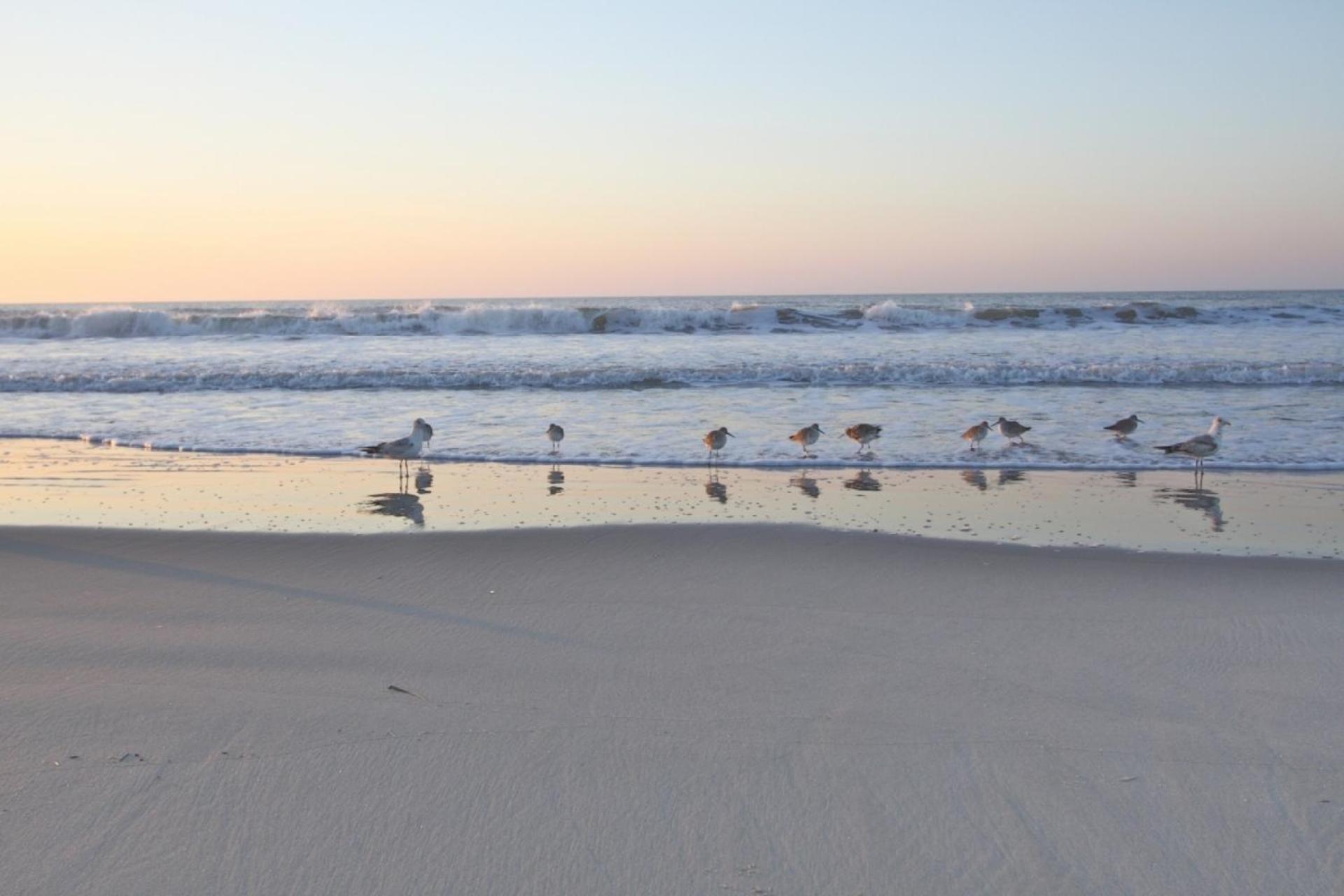 Serenity Folly Beach Eksteriør billede